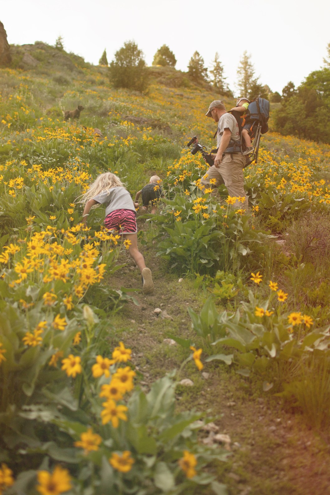 2018-05-26 18.33.18-1