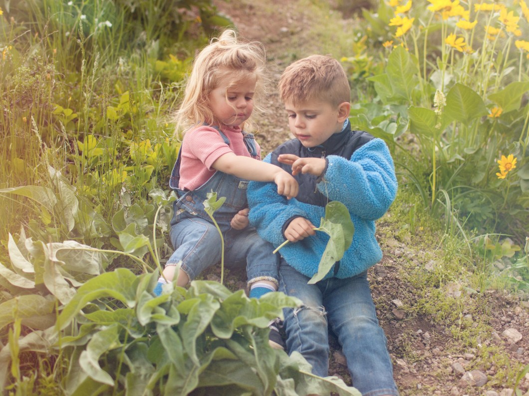 2018-05-26 18.39.47-1