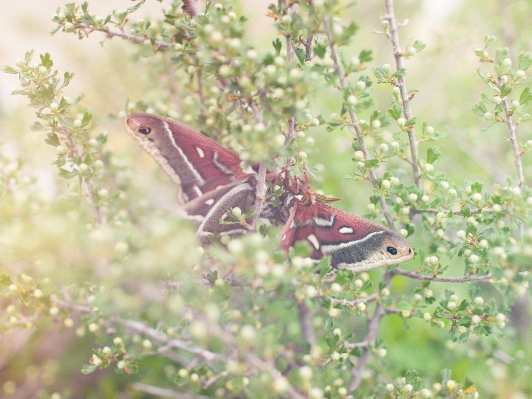 2018-05-27 19.09.31-1