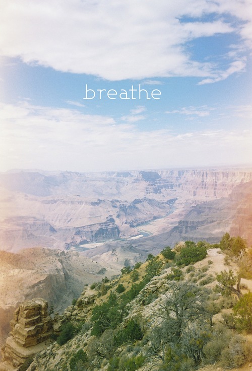 tumblr_inline_mhgle69vqV1rxr4j5